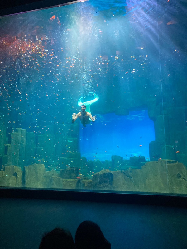 caption-3 Океанариум Синеаква в Париже