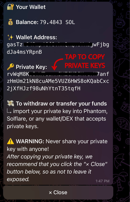 Wallet export step 2