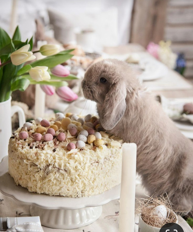 Screenshot_20230403_002018_Pinterest