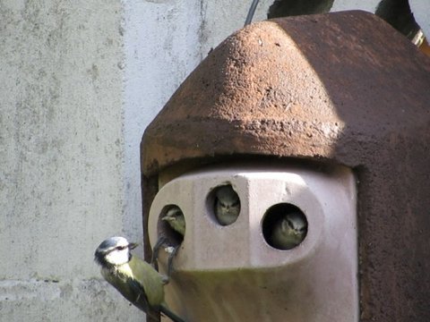 B7EA3031-7781-453F-B5DB-EEB245DB099F