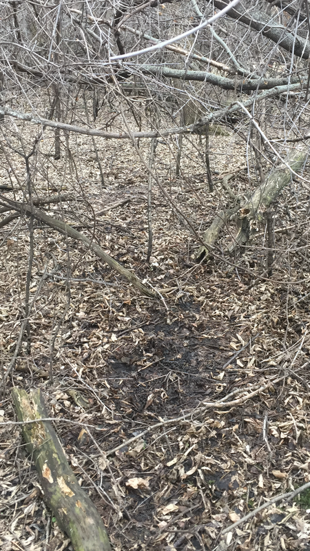 E891BD6A-1FA1-4AE4-B889-96C6801B73DE