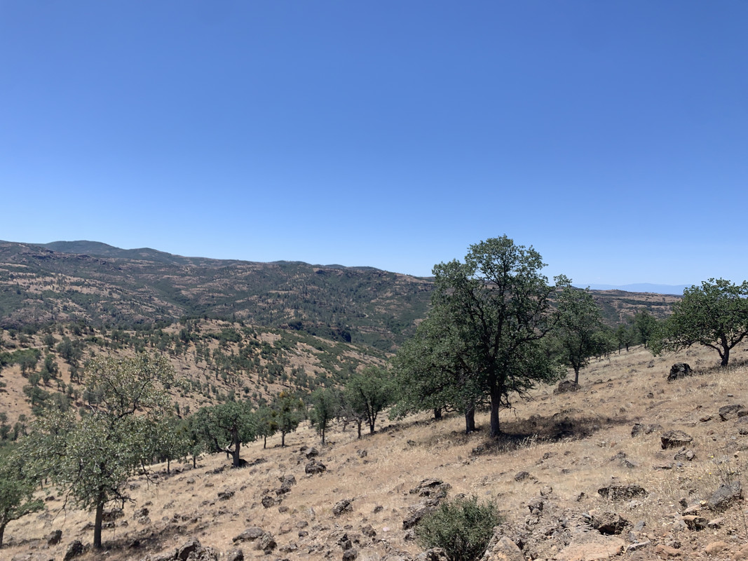 47EE219B-8DCB-4181-B1A4-97132F27B454