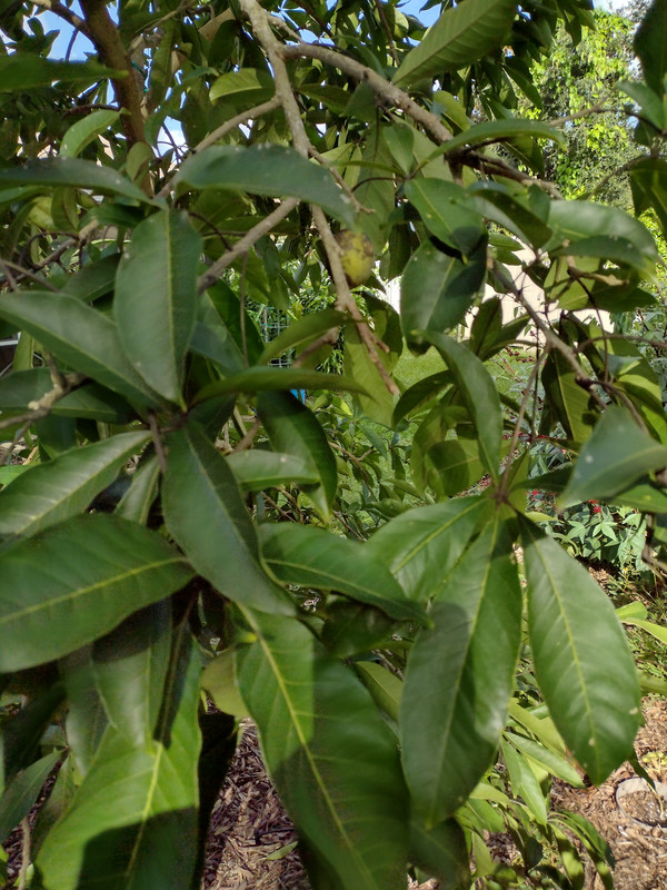 IMG_20231005_162353779_HDR