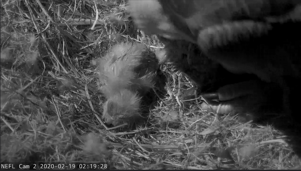 Romeo 20200219-01 om 13.32.37