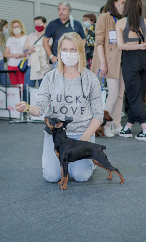 IMGP6732 - копия