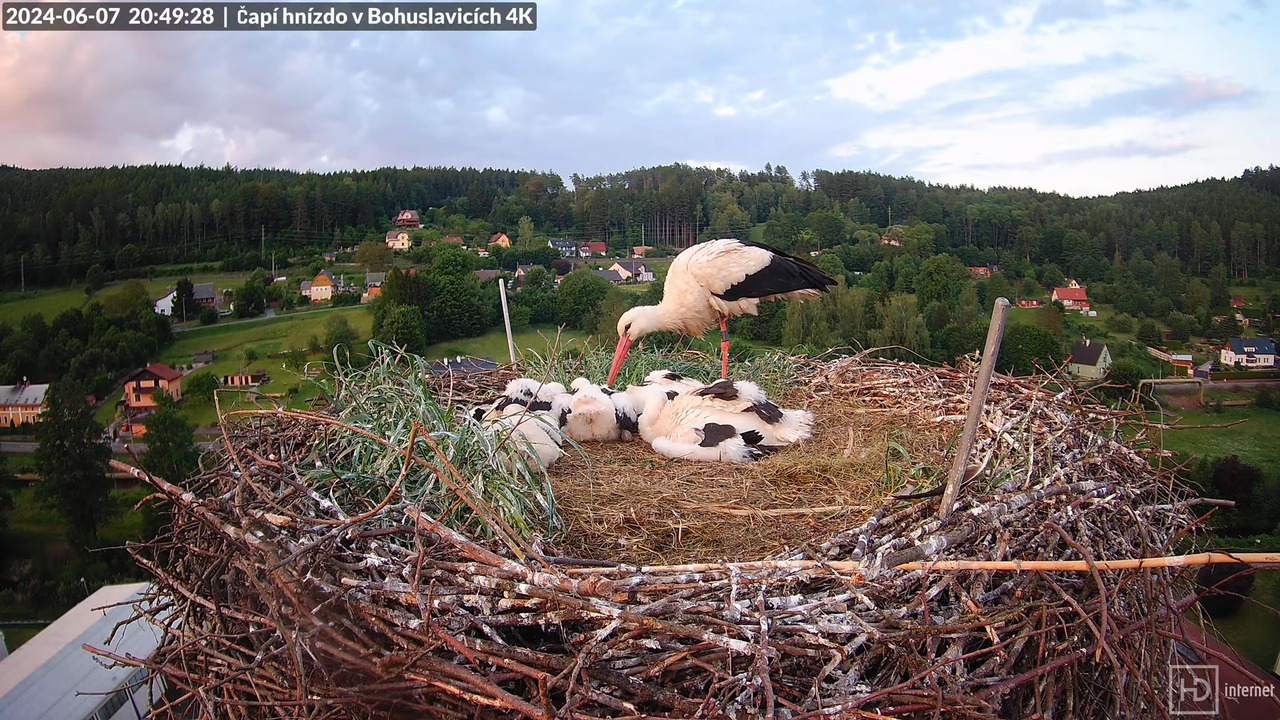 Tiešraidē no uzņēmuma KARA stārķa skursteņa Bohuslavicē pie Trutnovas 14-33-43 screenshot