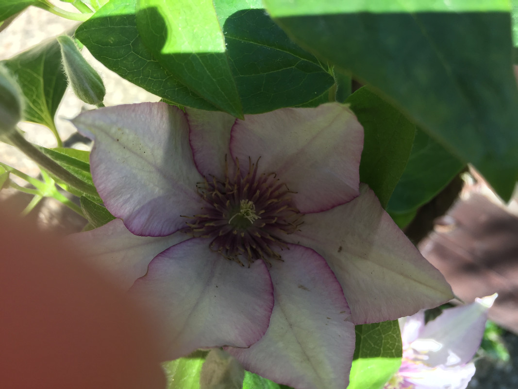 D7618563-86A5-4025-A940-5AA5E272CE83