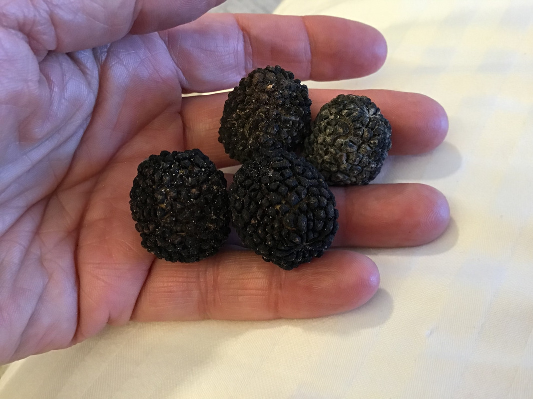 911CF57A-6618-4EAF-9C3C-04BA817F70BF