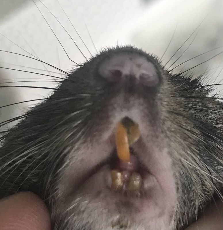 24320734-CE7B-4E18-B606-FAE61DD83616