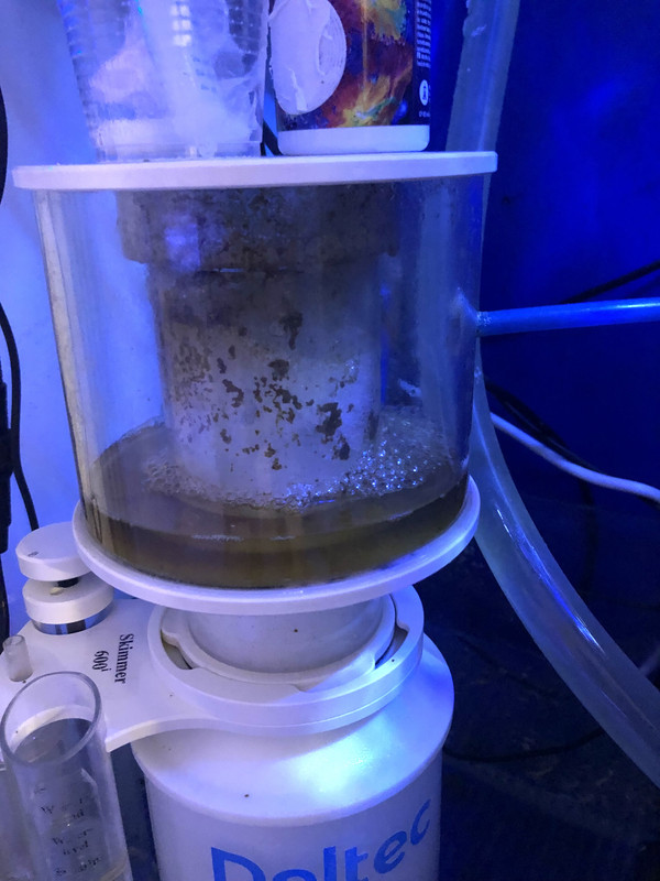 B013EE75-7223-471A-AFE4-40F97D46C6A3