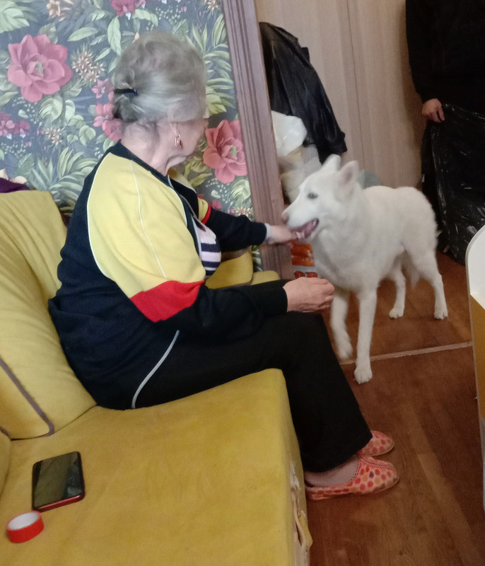 Знакомимся 2