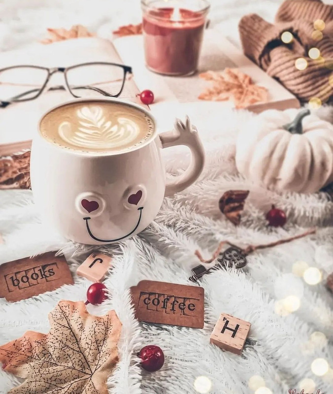 Screenshot_20240112_232721_Instagram