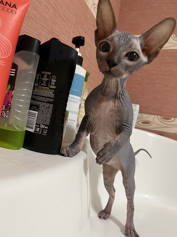 D84FB919-F693-4F27-B6E5-DE8C9E1B03A8