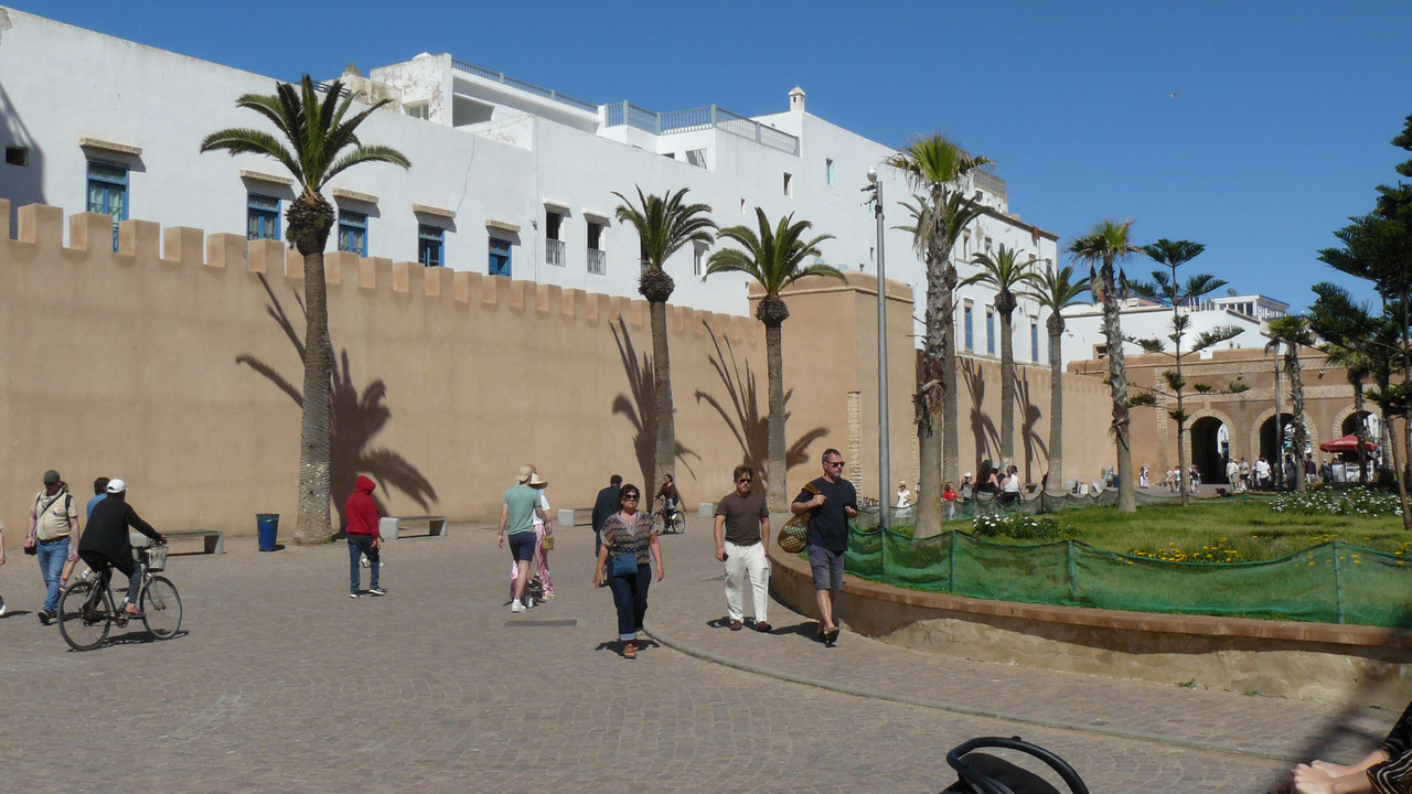 [Obrazek: P1120712.jpg]