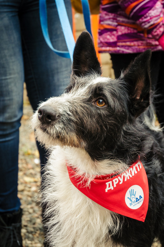 F89DFD07-9EB6-499B-B68A-12924D967047