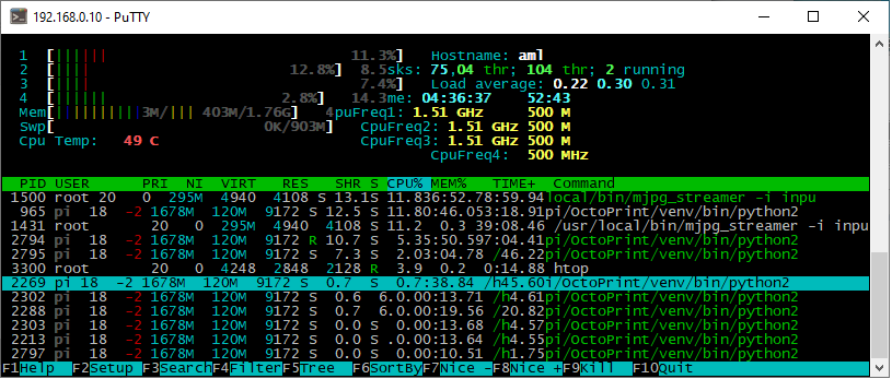 Новый точечный рисунок