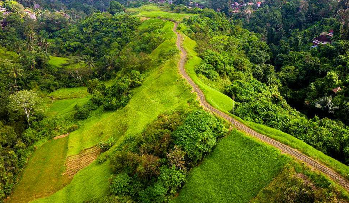Keindahan Pemandangan Bukit Campuhan Ubud Bikin Wisatawan Terhipnotis