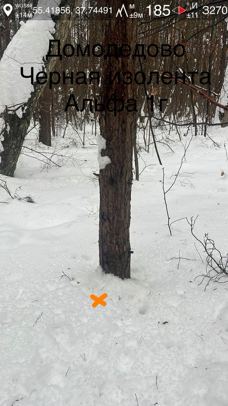 1F8BC2D4 3499 43CE 900A E350889C3B2F