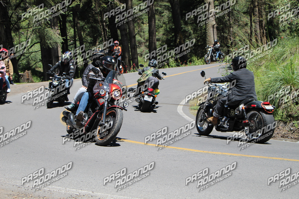 IMG 6741 wm 21355743 8 watermarked — Postimages