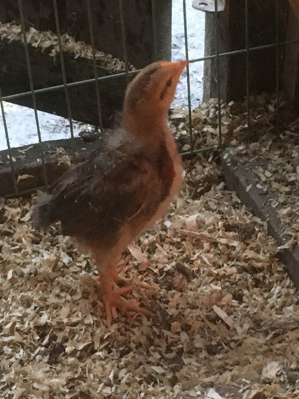 562FE1FE-E782-4B2A-9BF5-A0511CE84A40