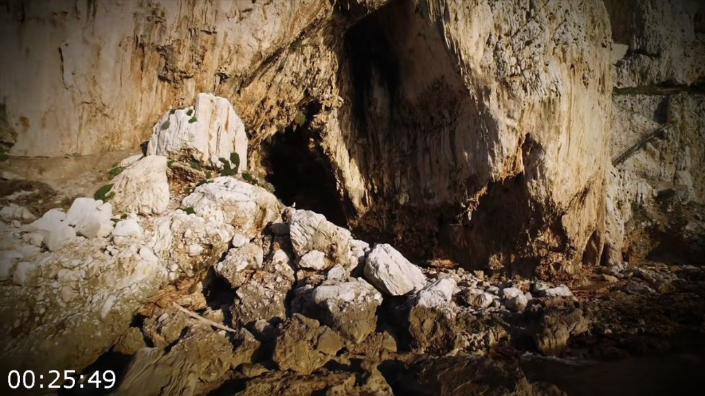 [Image: ne6rs8n4wgv2.png]