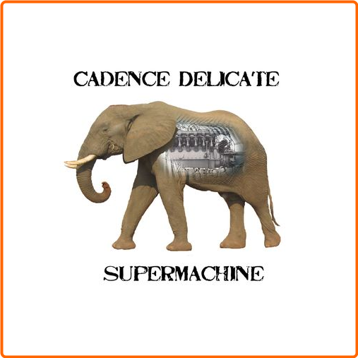 [Image: zib179hkkg4o.png]