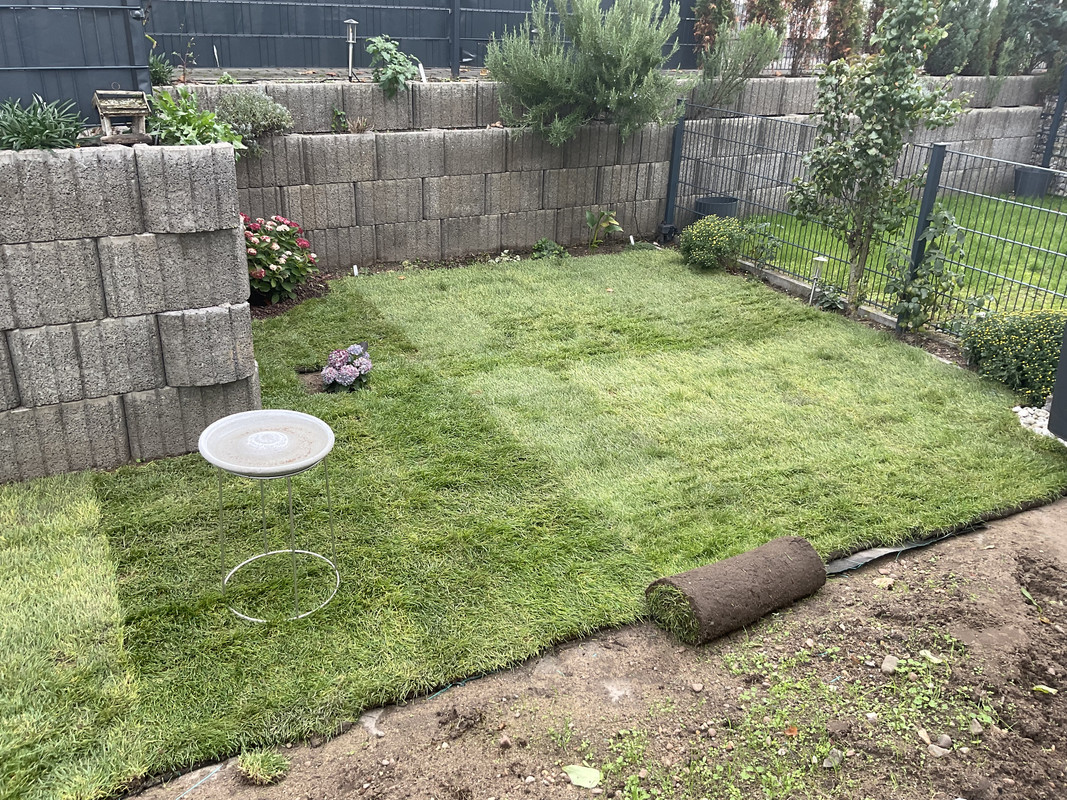 268761DC-464B-4473-82E5-0529BA22B7C1