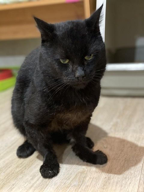 5184EB21-A165-44E0-B48C-CB294CC0FE55