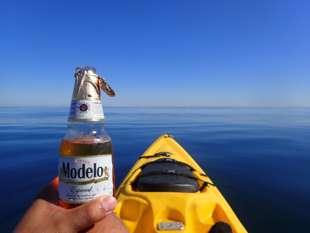 BBD7FC98-B18C-4571-81F1-6D8FD0084A53