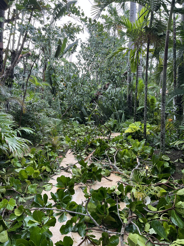 B0E929C4-6A5A-478F-AF1B-857BB8B1DF3B