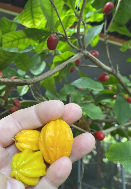 634632BE-7941-42B9-8819-D177B9502AAA