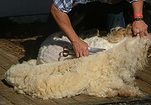 220px-Blade-Shearing.jpg