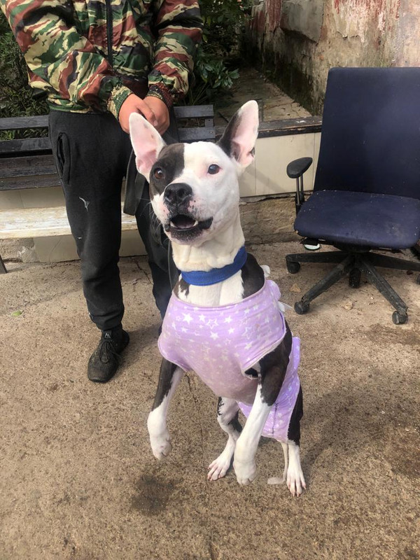 WhatsApp Image 2022-09-05 at 14.16.23 (2)