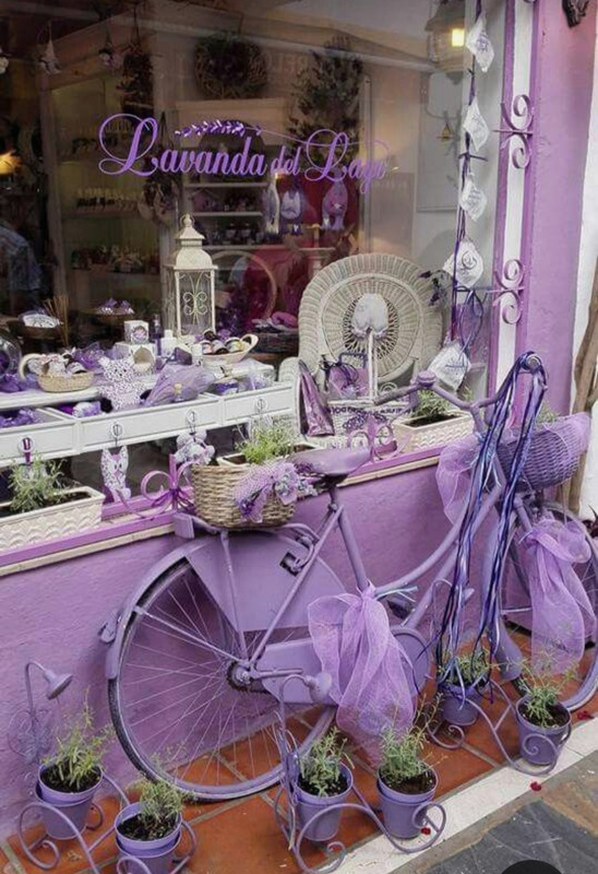 Screenshot_20230405_233747_Pinterest