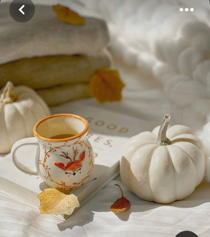 Screenshot_20230705_224800_Pinterest