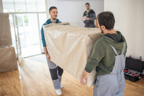 Professional Packing Services