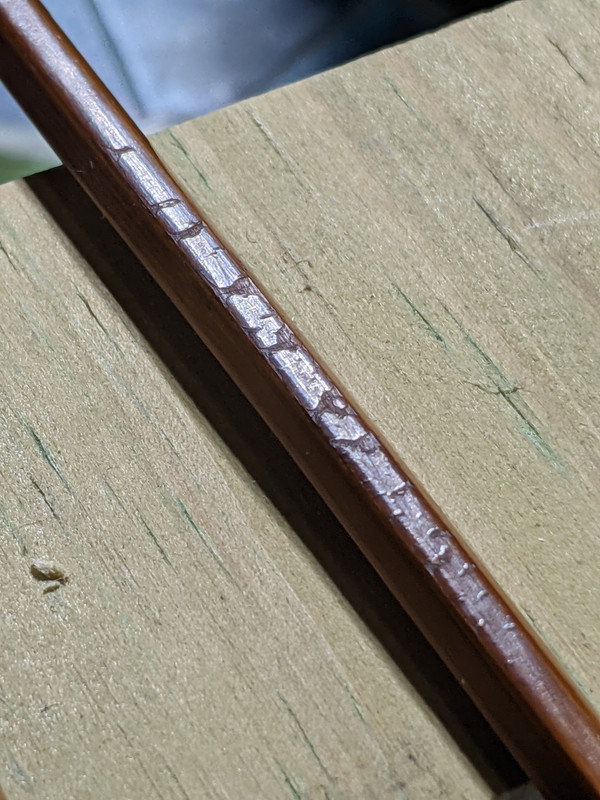 PXL_20211016_034252466.NIGHT