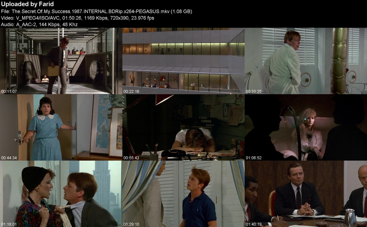 The-Secret-Of-My-Success-1987-INTERNAL-BDRip-x264-PEGASUS.jpg