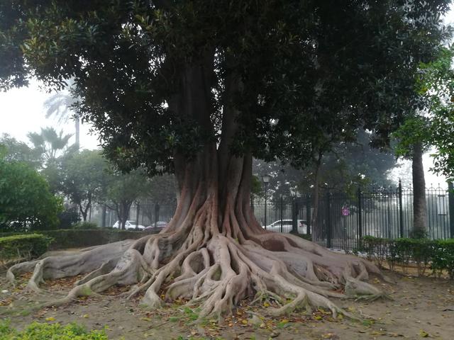 Sevilla, bajo la lluvia de otoño - Blogs of Spain - Día uno: Llegada y paseo por la judería (11)