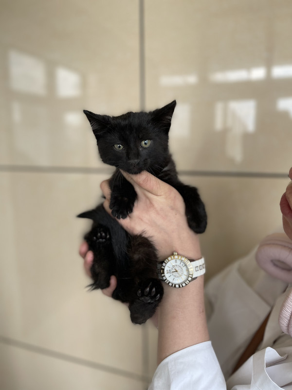 8D693C21-51F9-4BA4-9660-3EAAF4646605