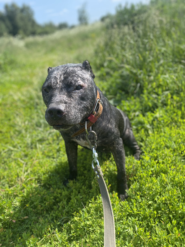 18F4E856-7D3F-462F-A73D-6CE866D6BDF4