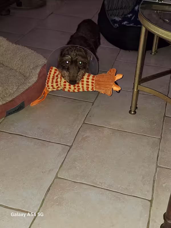 [Image: 20240818-211647.avif]