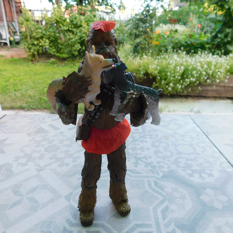 Дачно-Харлинский июнь-июль 2024 421