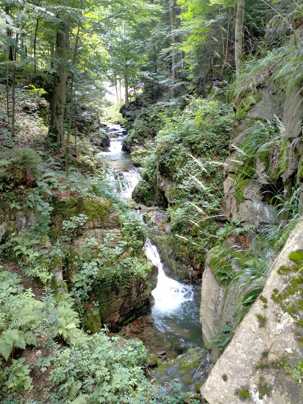 015 - IMG20210802123920