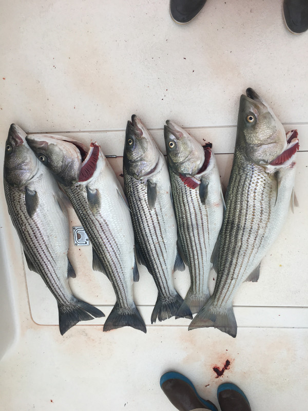 A5A02F8F-D8EE-43B3-909D-47C2F3EC8CE5