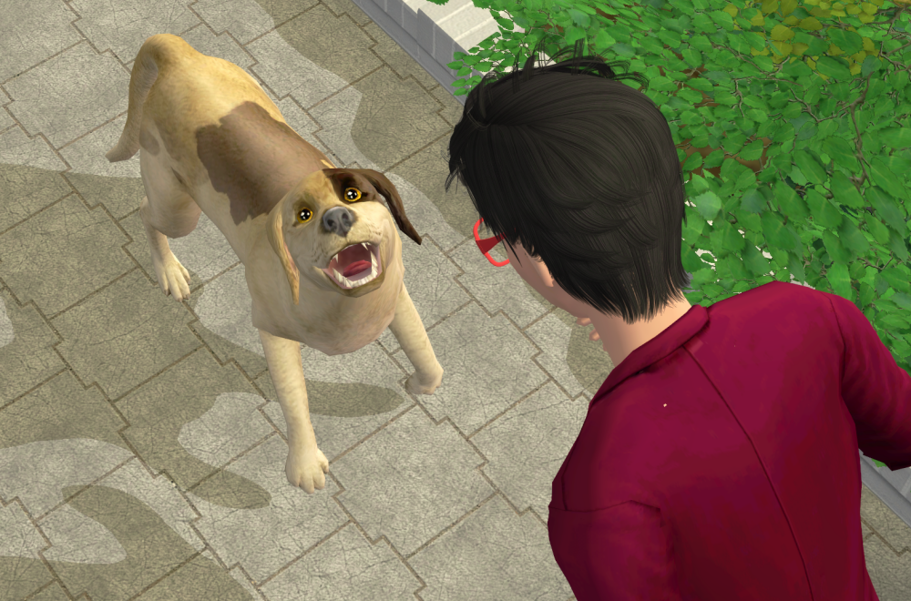 Sims2-EP9-RPC-2021-08-29-22-07-21-56