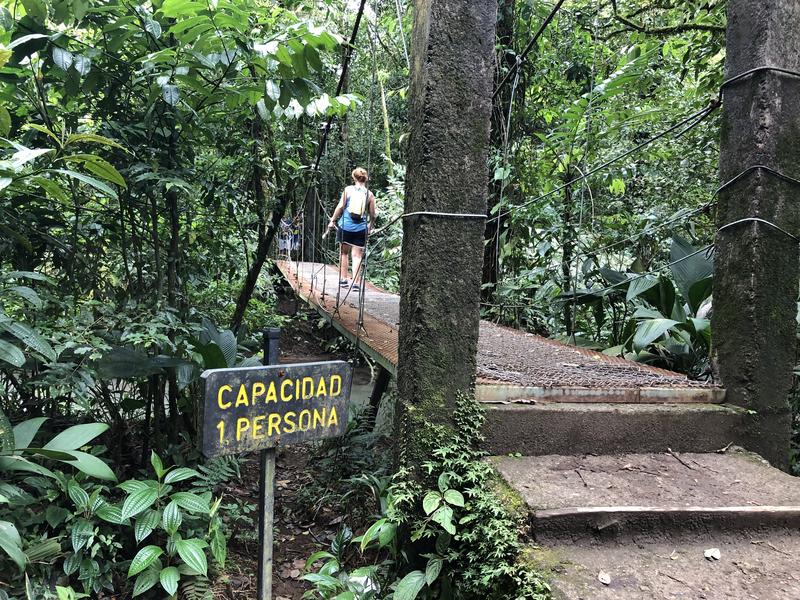 DIA 10: RIO CELESTE - DE TORTUGAS Y PEREZOSOS. COSTA RICA 2019 (30)