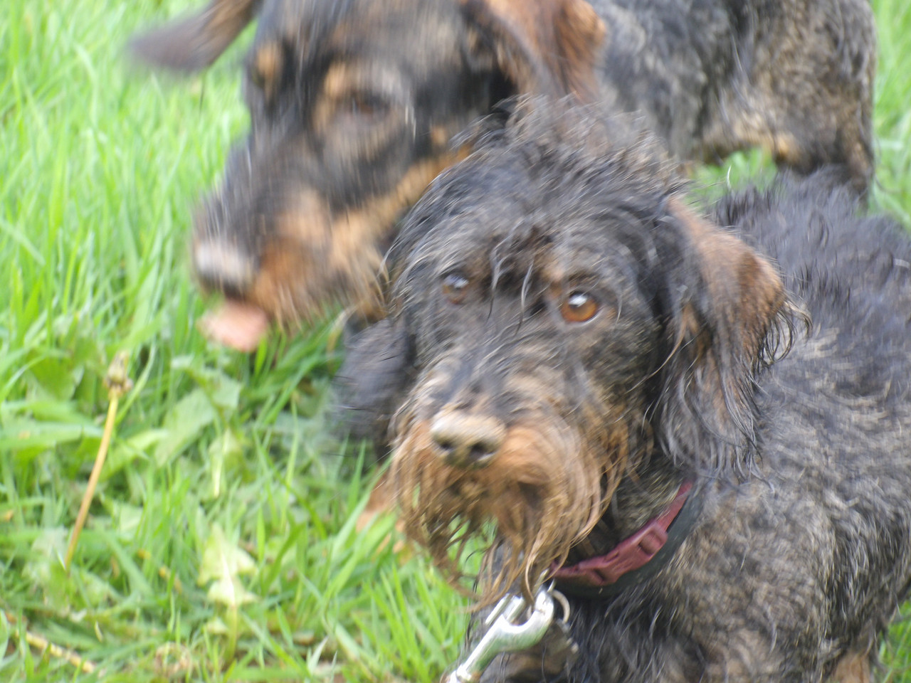 [Image: 125-0410.jpg]