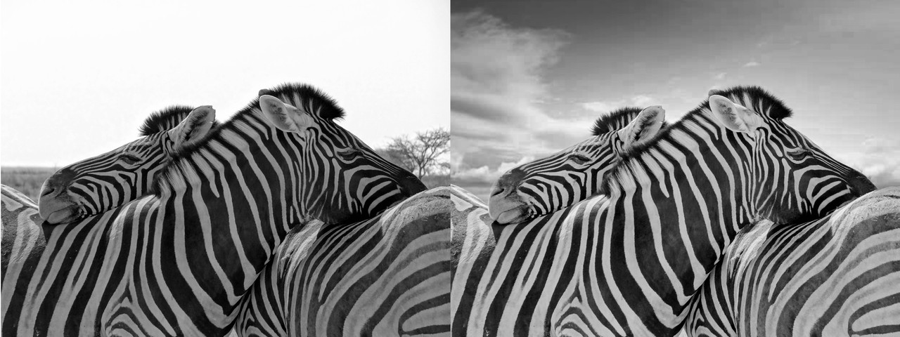 Z_bres_au_repos_N_B-test avant apres