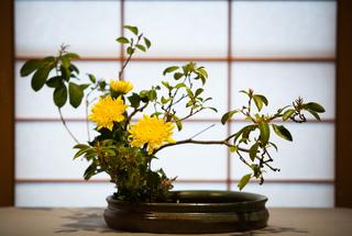 [Hình: Ikebana-4.jpg]